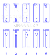 Load image into Gallery viewer, Photo - Primary