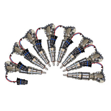 Load image into Gallery viewer, Photo - Primary