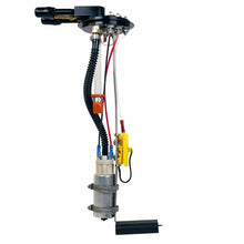 Load image into Gallery viewer, Photo - Primary