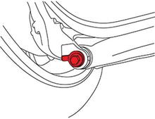 Load image into Gallery viewer, Line Art