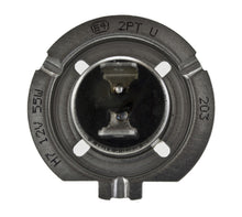 Load image into Gallery viewer, Photo - Close Up