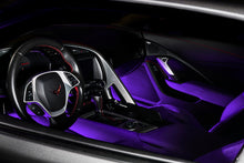 Load image into Gallery viewer, Photo - lifestyle view