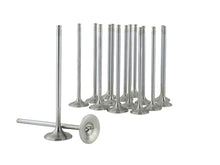 Load image into Gallery viewer, Photo - Unmounted