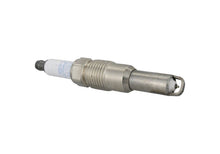 Load image into Gallery viewer, Photo - Unmounted