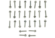 Load image into Gallery viewer, Photo - Unmounted