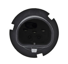 Load image into Gallery viewer, Photo - Close Up