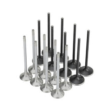 Load image into Gallery viewer, User 1