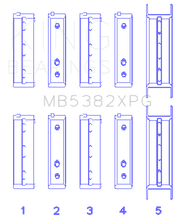 Load image into Gallery viewer, Photo - Primary