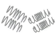 Load image into Gallery viewer, Photo - Close Up