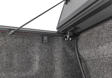 Load image into Gallery viewer, Photo - Close Up