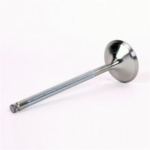 Load image into Gallery viewer, Photo - Unmounted