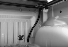 Load image into Gallery viewer, Photo - Close Up