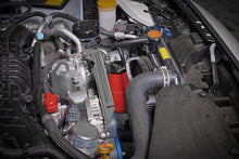 Load image into Gallery viewer, User 1