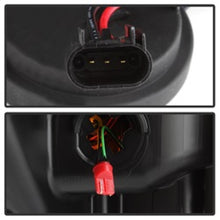 Load image into Gallery viewer, Photo - Unmounted