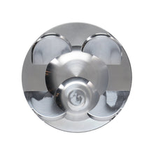 Load image into Gallery viewer, User 8