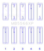 Load image into Gallery viewer, Photo - Primary