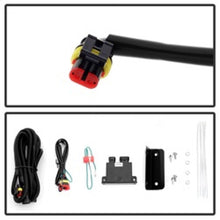 Load image into Gallery viewer, Photo - Unmounted