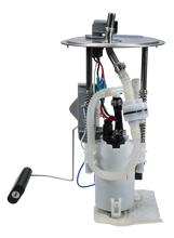 Load image into Gallery viewer, Photo - Primary