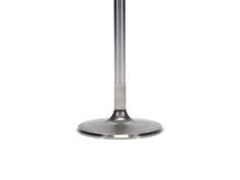 Load image into Gallery viewer, User 3