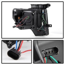 Load image into Gallery viewer, Photo - Unmounted