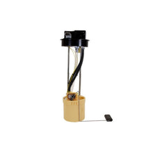 Load image into Gallery viewer, User 1