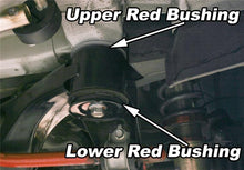 Load image into Gallery viewer, Photo - Primary