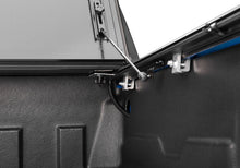 Load image into Gallery viewer, Photo - Close Up