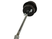 Load image into Gallery viewer, Photo - Unmounted