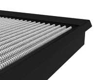 Load image into Gallery viewer, Photo - Close Up