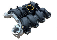 Load image into Gallery viewer, User 1