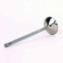 Load image into Gallery viewer, Photo - Unmounted