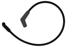 Load image into Gallery viewer, Photo - Unmounted