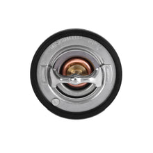 Load image into Gallery viewer, User 4