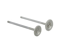 Load image into Gallery viewer, Photo - Unmounted