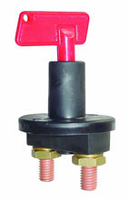 Load image into Gallery viewer, Photo - Primary