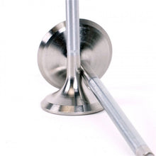 Load image into Gallery viewer, Photo - Unmounted