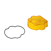 Load image into Gallery viewer, Photo - Primary