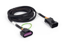 Load image into Gallery viewer, User 1