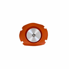 Load image into Gallery viewer, Photo - Close Up