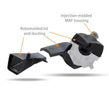 Load image into Gallery viewer, User 1