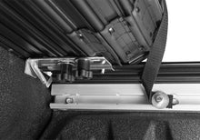 Load image into Gallery viewer, Photo - Close Up