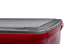 Load image into Gallery viewer, Photo - Close Up