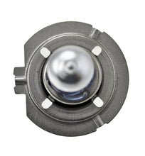 Load image into Gallery viewer, Photo - Close Up