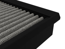 Load image into Gallery viewer, Photo - Close Up