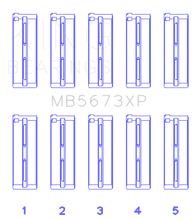 Load image into Gallery viewer, Photo - Primary