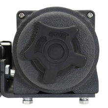 Load image into Gallery viewer, Photo - Unmounted