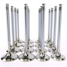 Load image into Gallery viewer, Photo - Primary