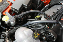 Load image into Gallery viewer, Photo - Mounted