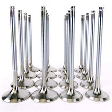 Load image into Gallery viewer, Photo - Primary