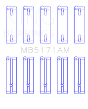 Load image into Gallery viewer, Photo - Primary